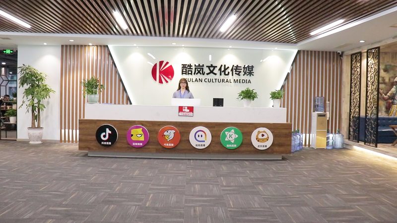 企业宣传短视频：揭秘制作厂家的排名奥秘